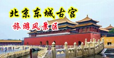 Julia无码在线中国北京-东城古宫旅游风景区